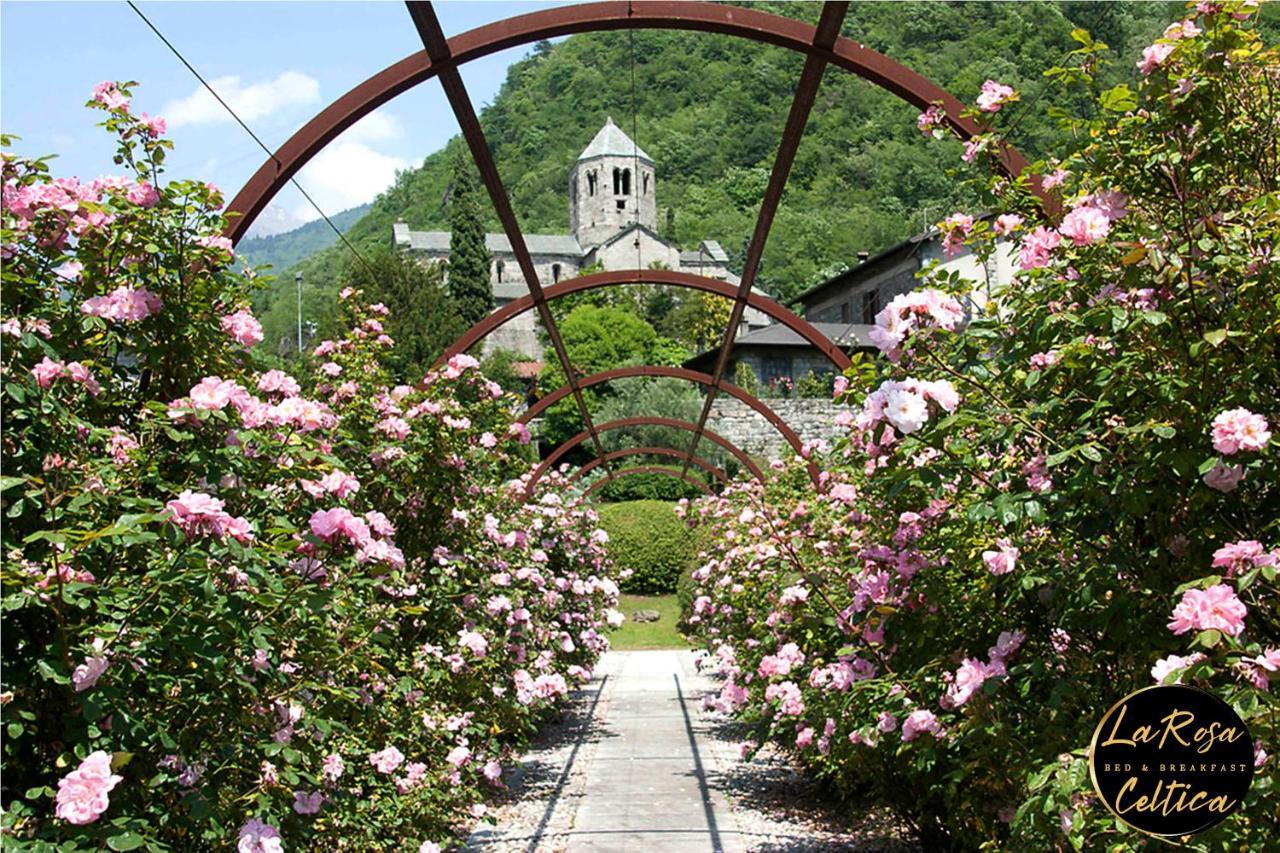 B&B La Rosa Celtica Capo di Ponte Экстерьер фото